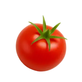 Tomate